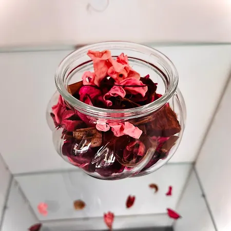 Bronowice Blue - Homey With Garden And Parking Апартаменты Краков